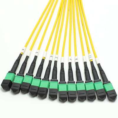 Niedrigverlust MPO Fanout Kabel Großmenge Kern 1M 144F SMG657A1 MPO APC zu MPO APC Breakout Fiber Optic Patch Cord