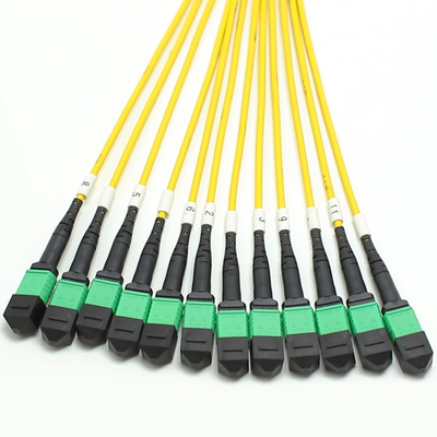 144F MTP MPO Fanout Kabel SMG657A1 MPO APC zu MPO APC Breakout Glasfaser Patch Cord