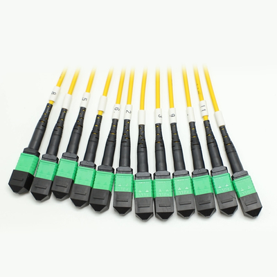144F MTP MPO Fanout Kabel SMG657A1 MPO APC zu MPO APC Breakout Glasfaser Patch Cord