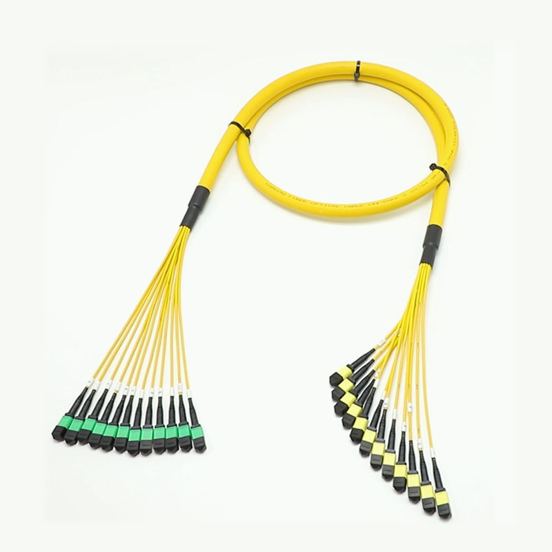 Niedrigverlust MPO Fanout Kabel Großmenge Kern 1M 144F SMG657A1 MPO APC zu MPO APC Breakout Fiber Optic Patch Cord